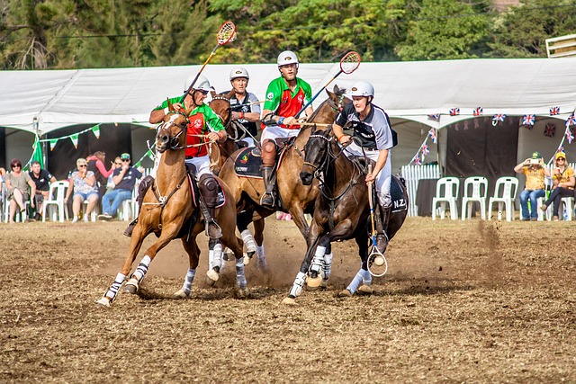 他们将在这